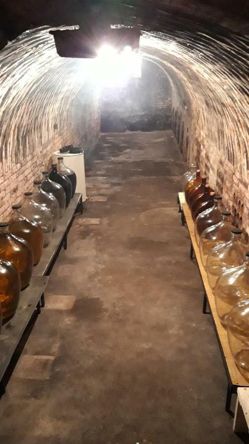 Penzion Na Vyhlidce Cejkovice  Εξωτερικό φωτογραφία